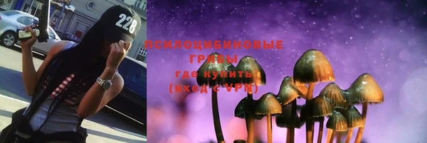 дживик Аркадак