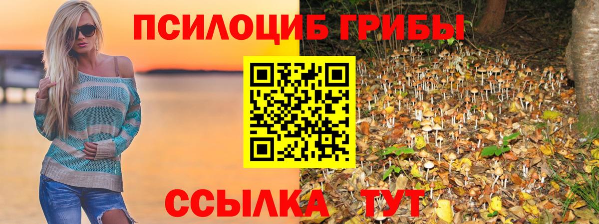 купить закладку  Галлюциногенные грибы MAGIC MUSHROOMS  Галлюциногенные грибы мицелий  Вход с VPN  Назрань 
