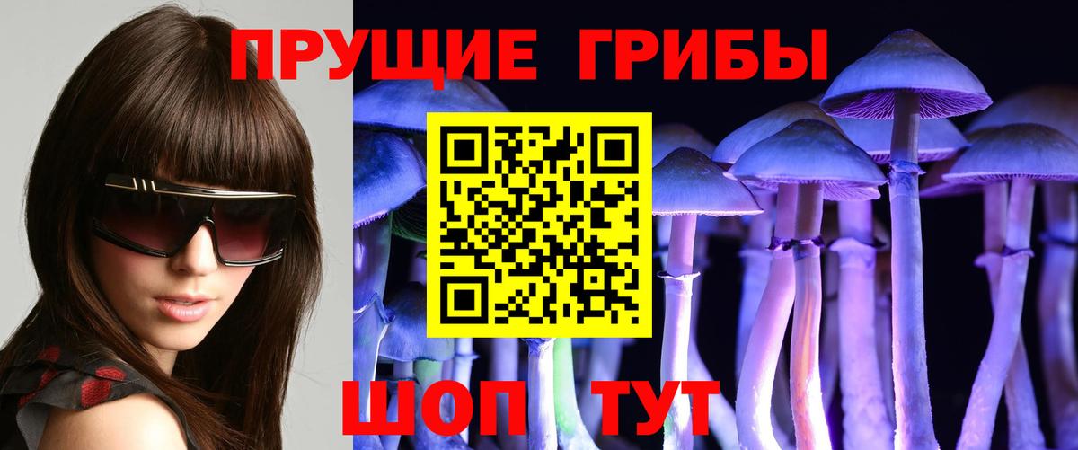 Псилоцибиновые грибы GOLDEN TEACHER Назрань